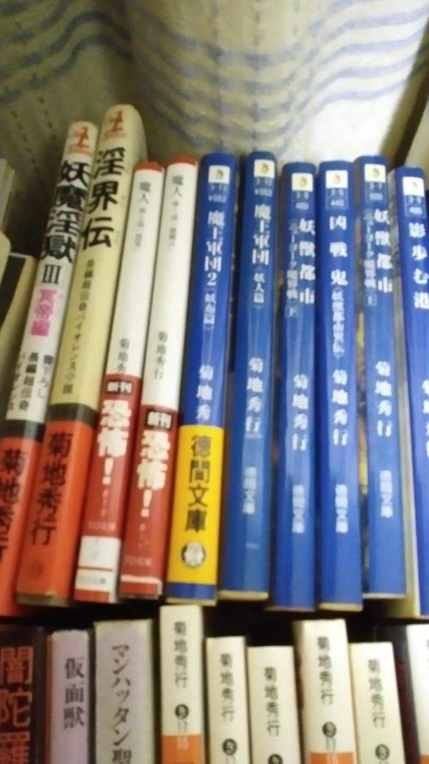 期間限定お値下げ！早い者勝ち！　菊池秀行さん　１１２冊セット