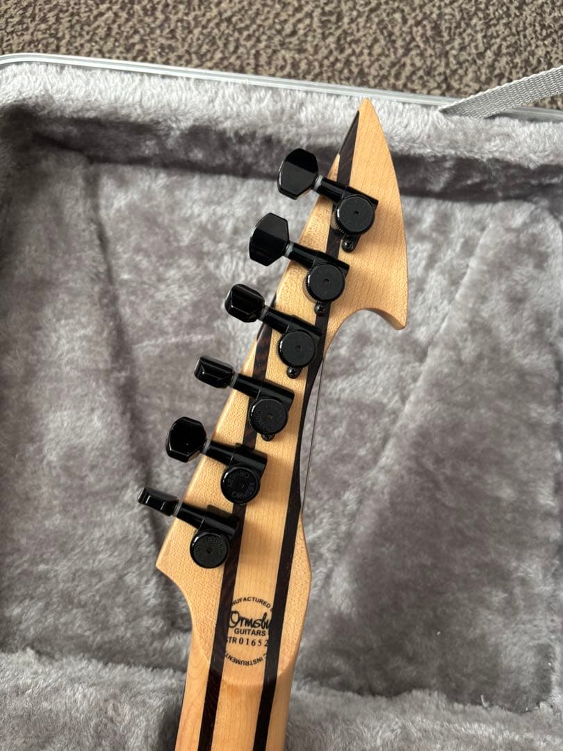 パパピピ　ormsby guitars hype gtr6
