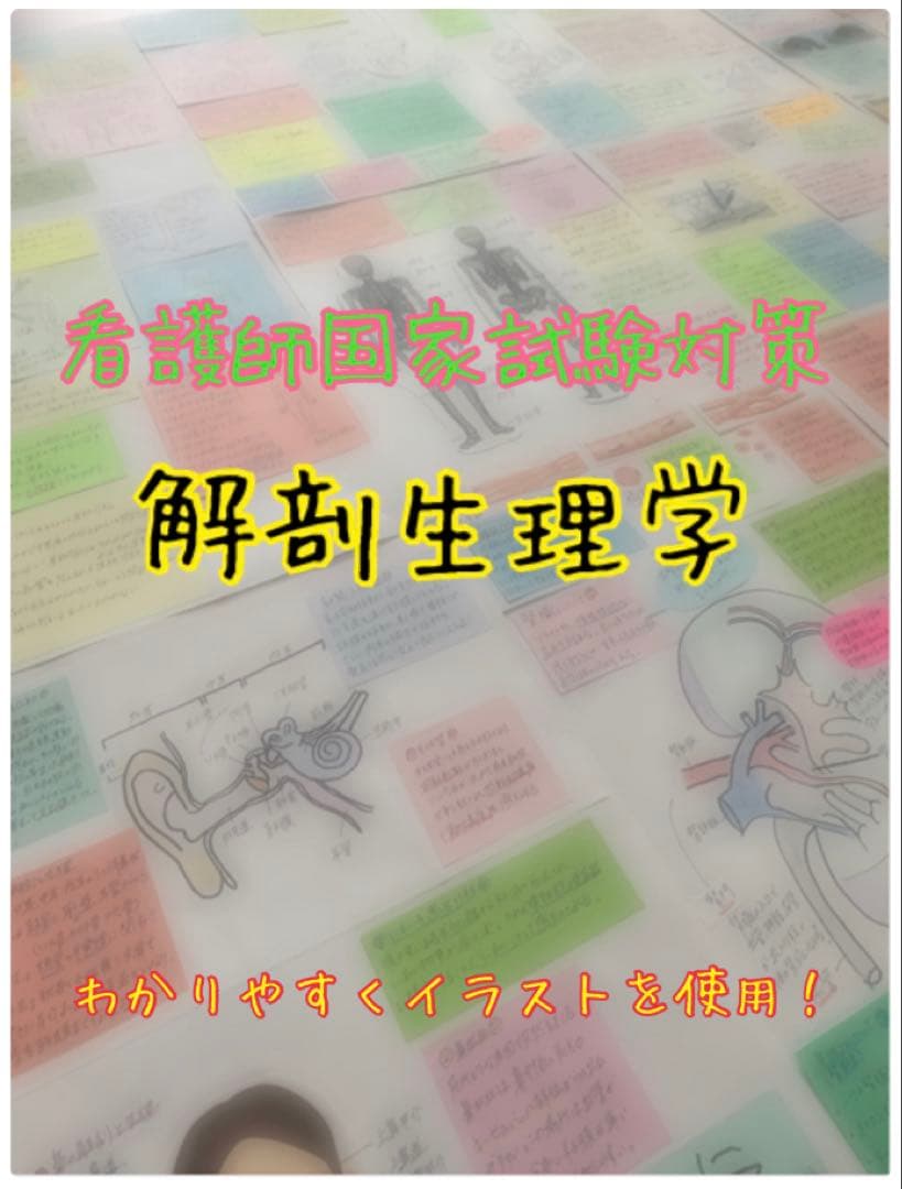 【セール価格】まとめ価格！看護師国家試験対策 暗記カード　解剖生理 付箋ノート